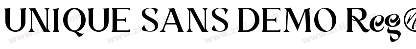 UNIQUE SANS DEMO Reg字体转换